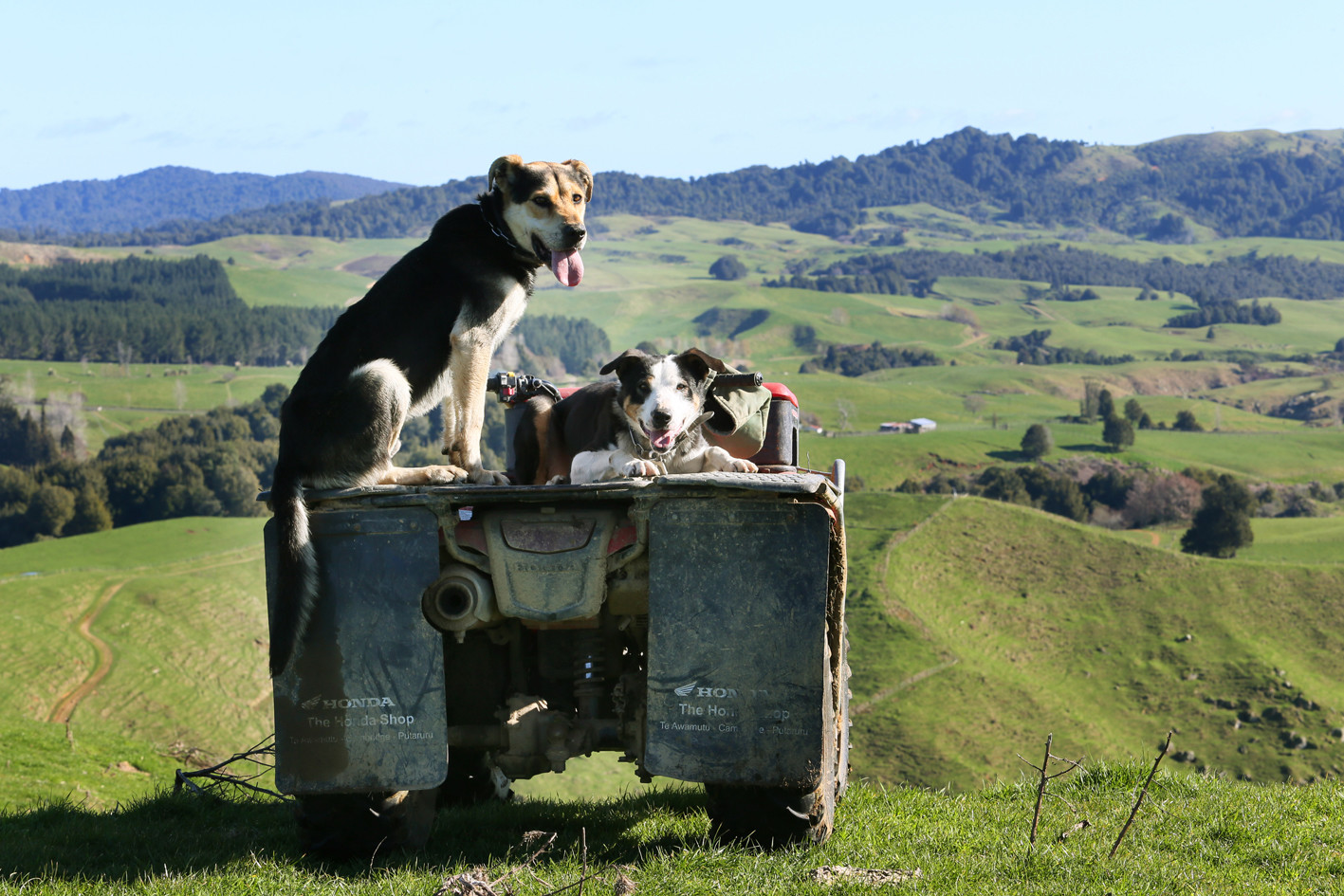 Aquila Fund portfolio-0939