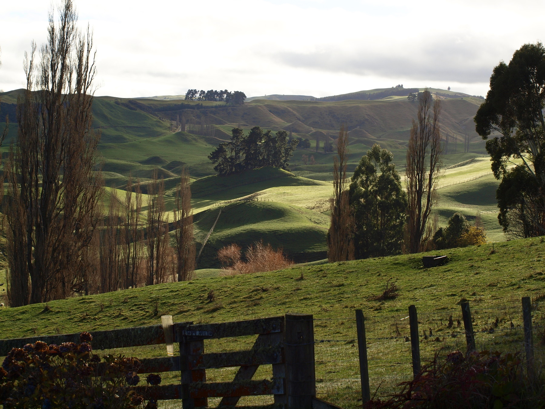 Aquila Fund portfolio-a3e6